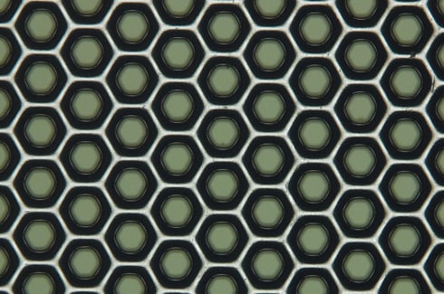 Penta Screen_1